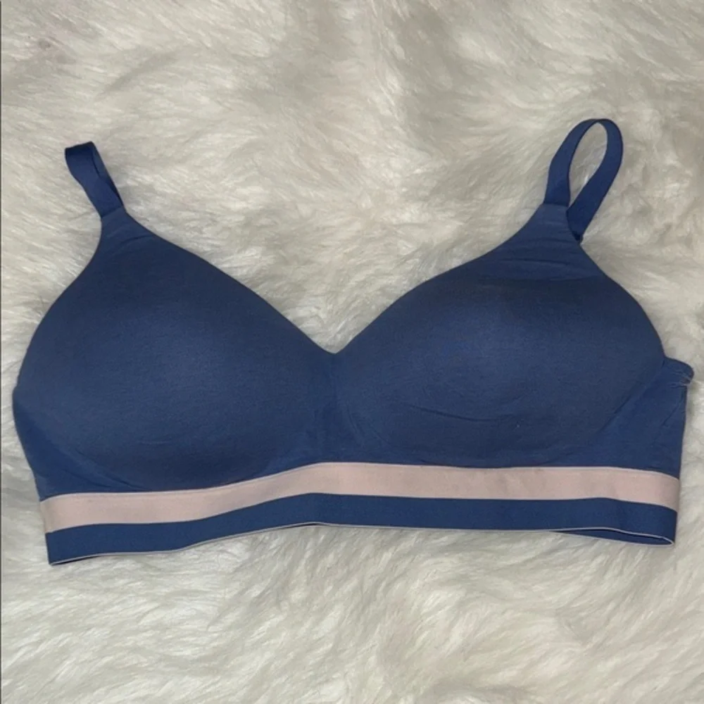 Hanes Blue Bra with Soft Pink Accent